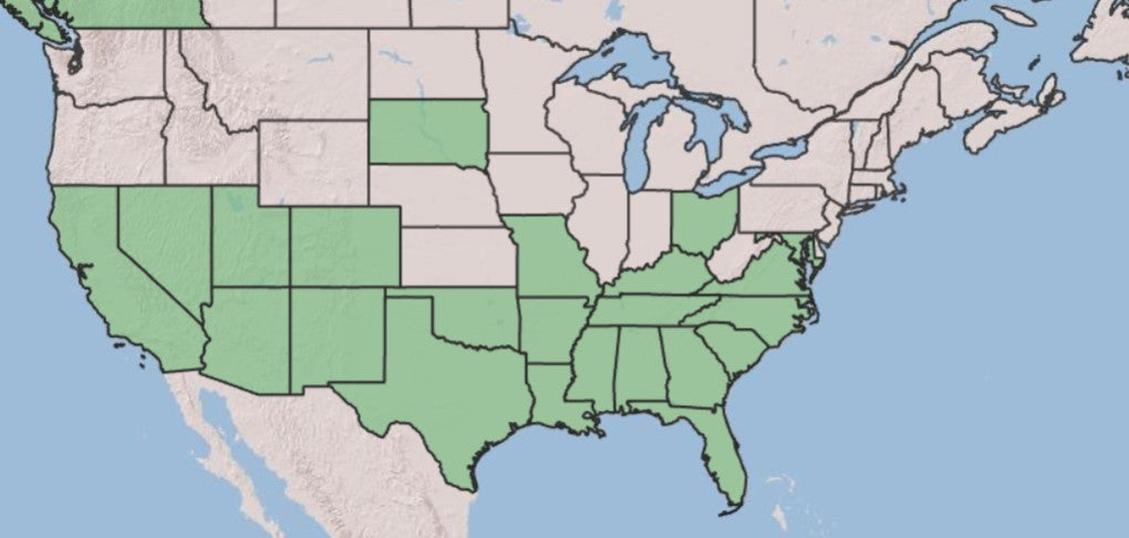 A map of the United States showing several states highlighted in light green, with the rest of the country in pale beige and blue water.