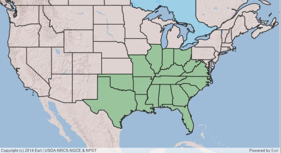 Map of US showing states with red buckeye
