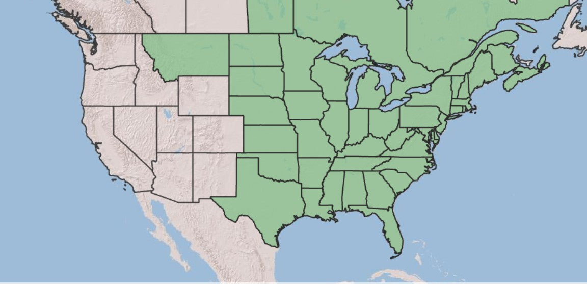 Map showing native range of golden alexander, Zizia aurea