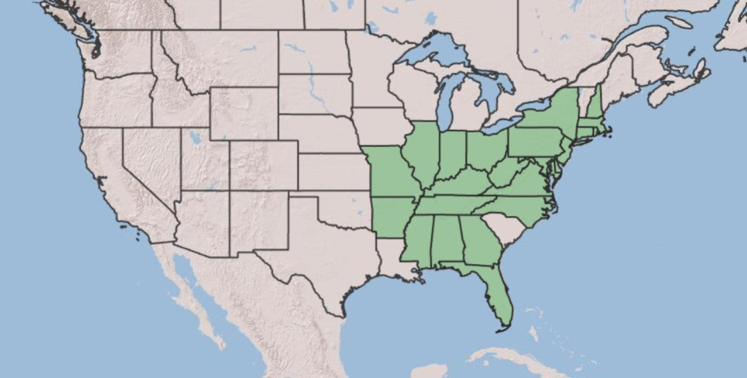 A map of the United States highlighting the Southern and Mid-Atlantic states in light green, with the rest of the country in beige and water areas in blue.