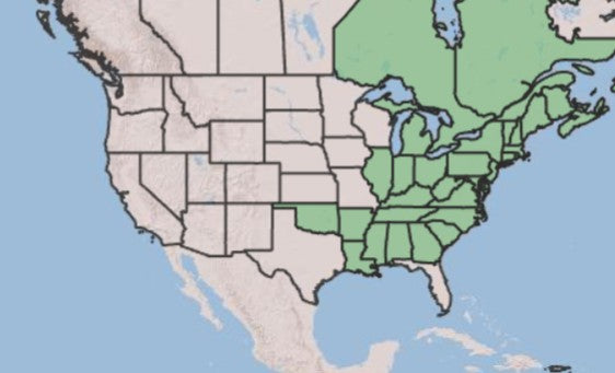 A map of North America highlighting the eastern United States in light green, likely indicating a product's distribution or range.