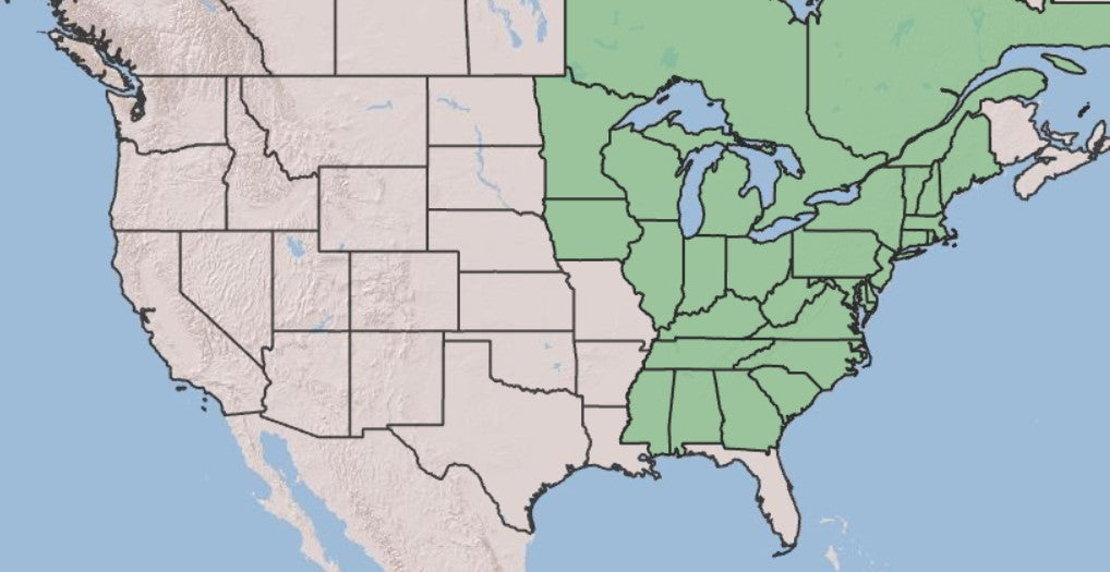 US map showing the eastern half shaded in indicating the native range of poke milkweed