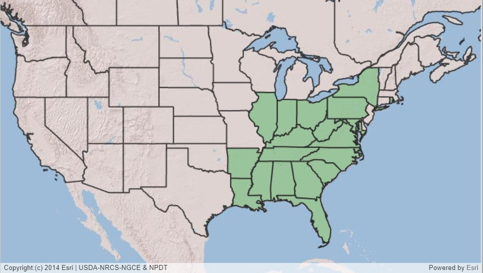 Map of US showing states in eastern US shaded in