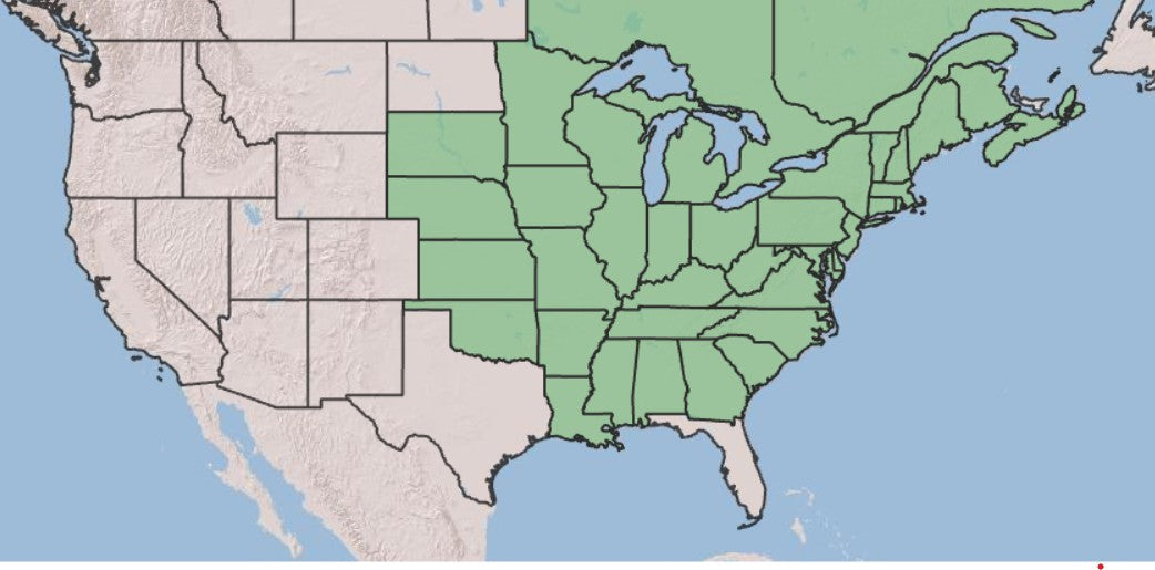 Map of the US showing the eastern half shaded marking the native range of northern maidenhair fern, Adiantum pedatum