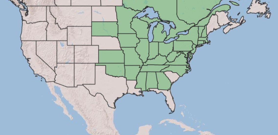 A map of the United States highlighting a large contiguous region in the upper Midwest, Northeast, and South with light green states, on a pale blue ocean background.
