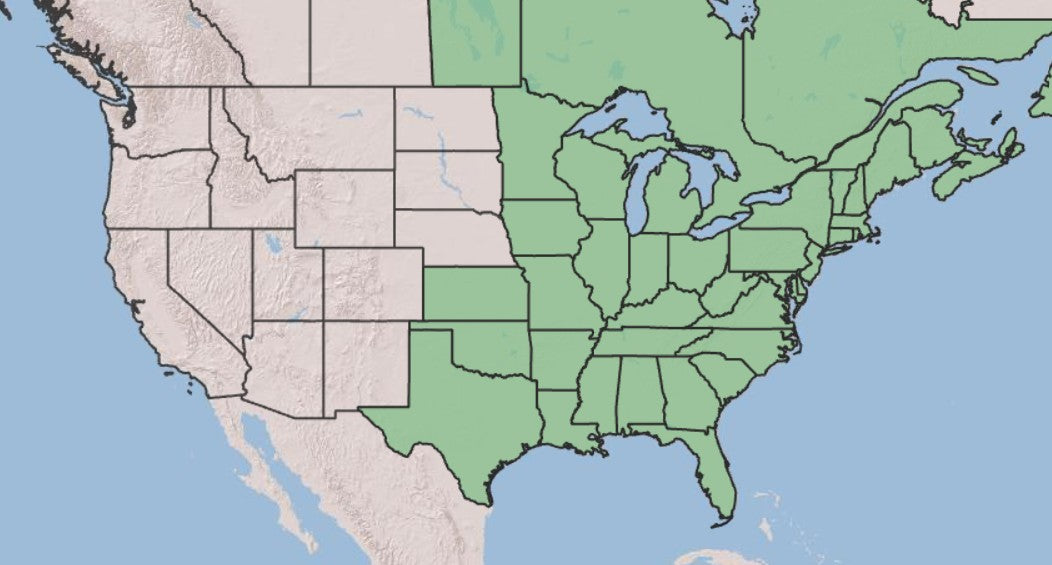 Map of Royal Fern Distribution in US