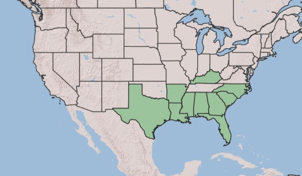 Map of Southern Woodfern Distribution