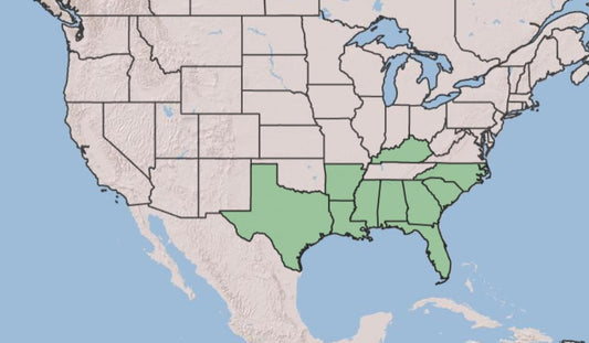 Map of Southern Woodfern Distribution