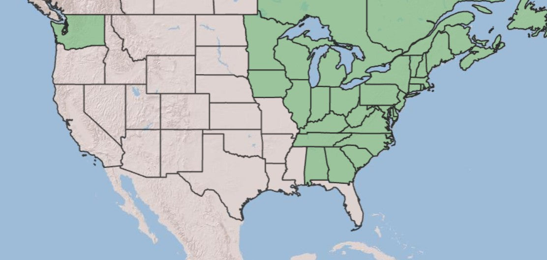 A map of the United States showing highlighted states in green, likely indicating a region or coverage area, with surrounding blue water and pale land tones.