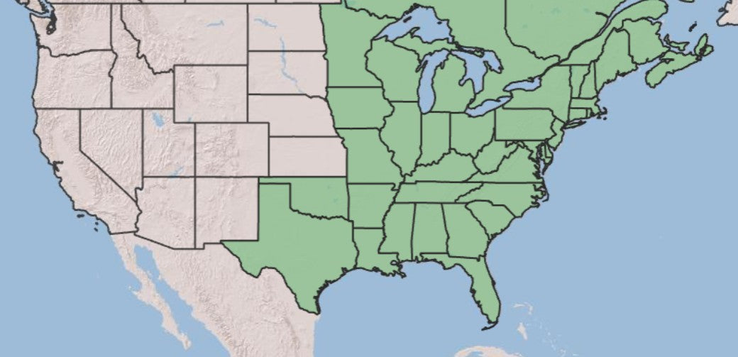 A map of the United States showing the Great Lakes region and surrounding states highlighted in light green, with the western and southwestern states in beige and water areas in light blue.