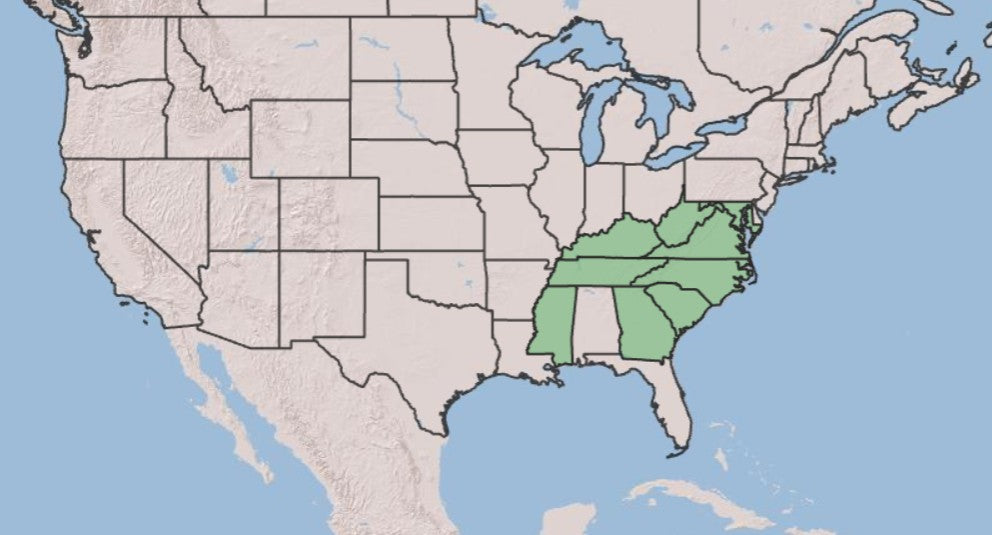 A map of the United States highlighting the Southern Plains and South Atlantic region in light green, with state borders and blue water visible.