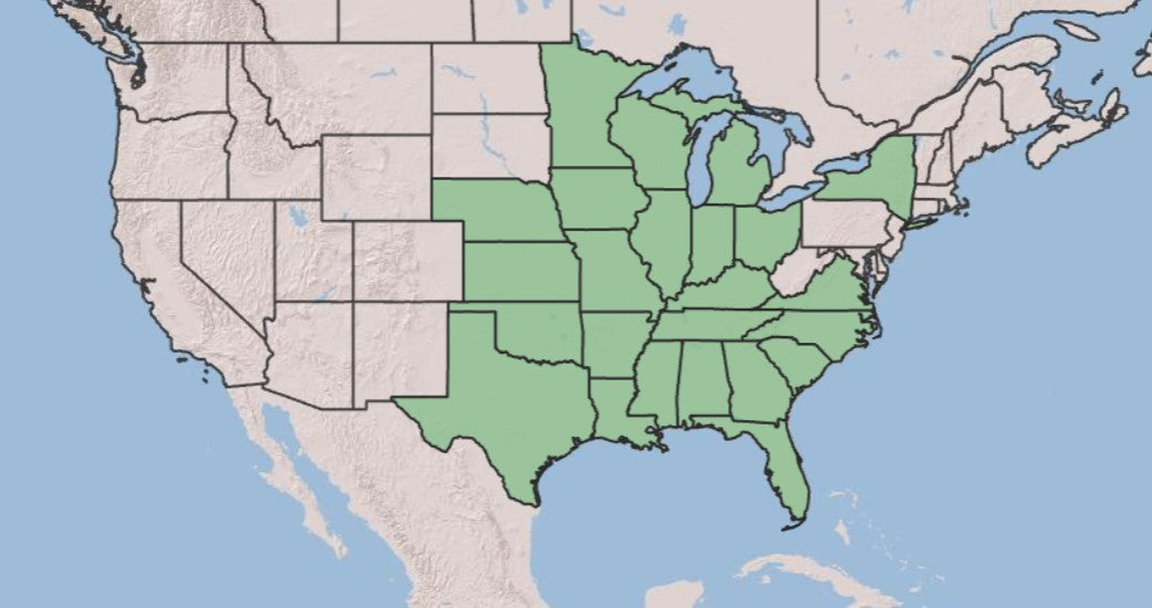A map of the United States showing a highlighted green region across the central and southern Midwest, with surrounding states in light gray and blue water.