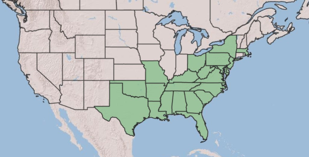 A map of the United States showing the Southern and Mid-Atlantic regions highlighted in light green, with the rest of the country in pale beige and blue water.