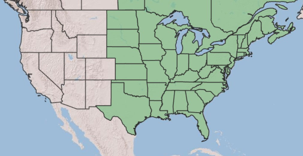 A map of the United States showing the contiguous 48 states, with the western half shaded in light beige and the eastern half shaded in light green, on a pale blue ocean background.