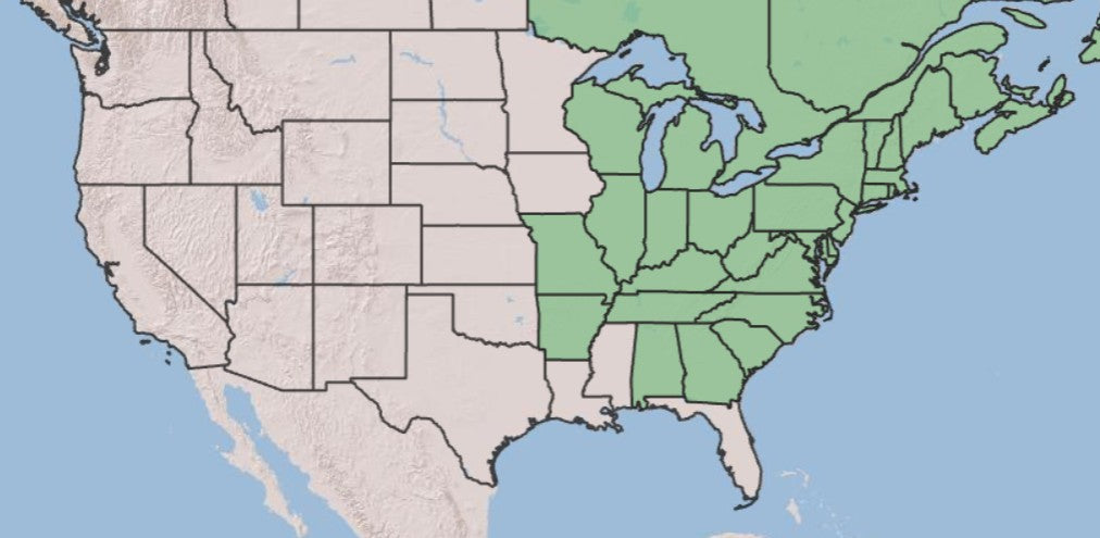 A map of the United States showing a highlighted region in the eastern half, likely indicating a product's coverage area or shipping range.