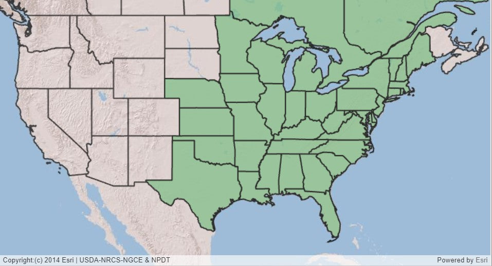 Map of US showing native range of New Jersey tea