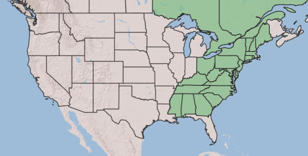 A map of the United States showing the southeastern and mid-Atlantic states highlighted in light green, with the rest of the country in a pale beige tone and blue water surrounding it.