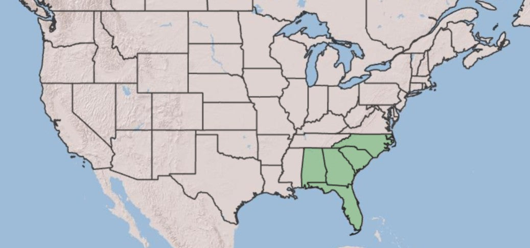 A simplified map of the United States highlighting the southeastern states in light green, with the rest of the country in pale beige and blue water.