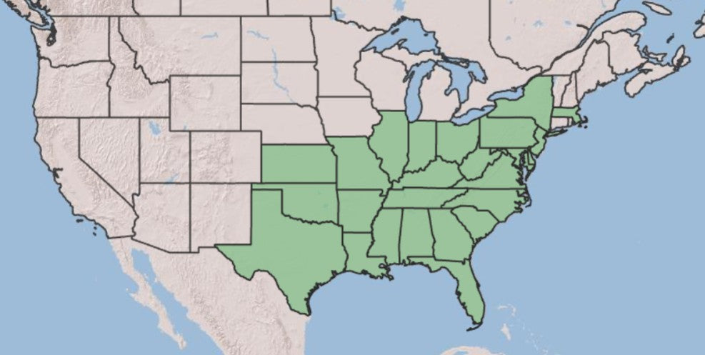 A map of the United States showing the Southern Plains and South Atlantic regions highlighted in light green, with the rest of the map in pale beige and blue water.