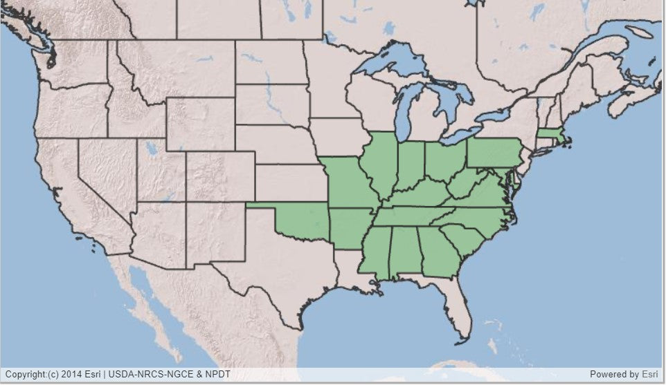 Map showing green shaded states