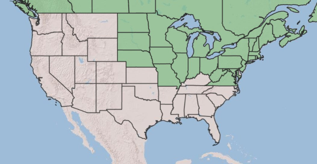 A map of the United States showing a green shaded region across northern and midwestern states, with blue water bodies and beige state outlines.