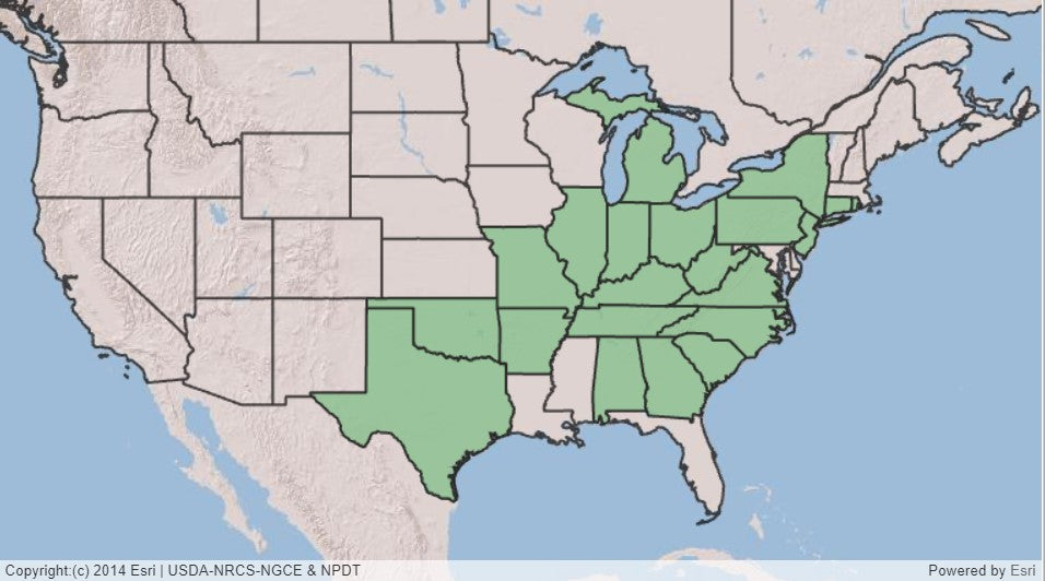 Map showing states in eastern US shaded