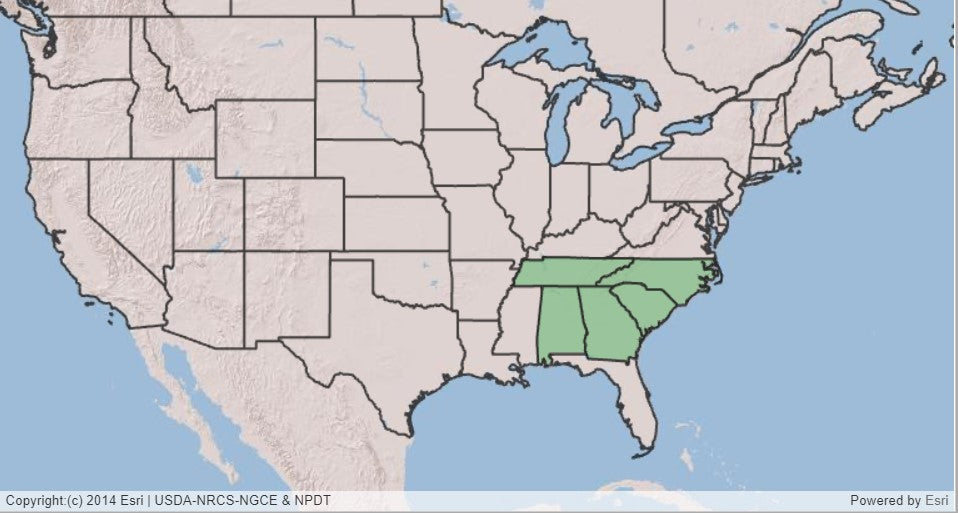 Map of US showing states of Tennessee, North Carolina, South Carolina, Georgia, and Alabama shaded in