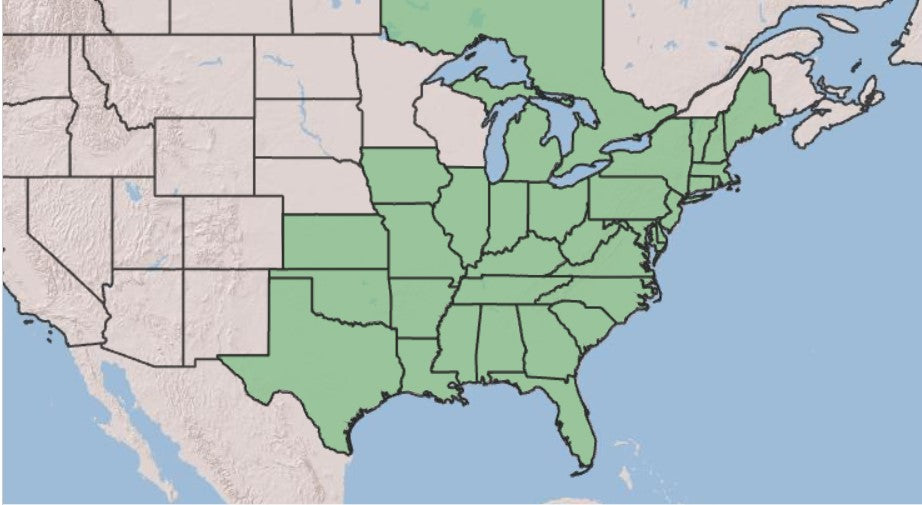 US map showing native range of spicebush in eastern US