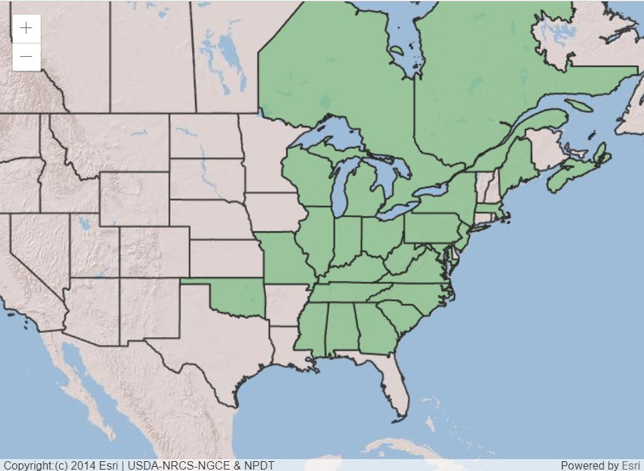 Map of US showing states in Eastern US shaded in