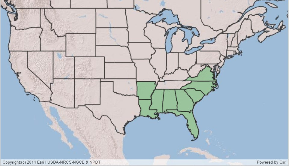 Map of US showing native range of scarlet rosemallow