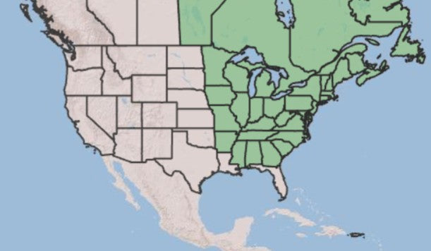 A map of North America showing the United States and Mexico, with the eastern half highlighted in light green and the western half in pale beige, on a light blue ocean background.