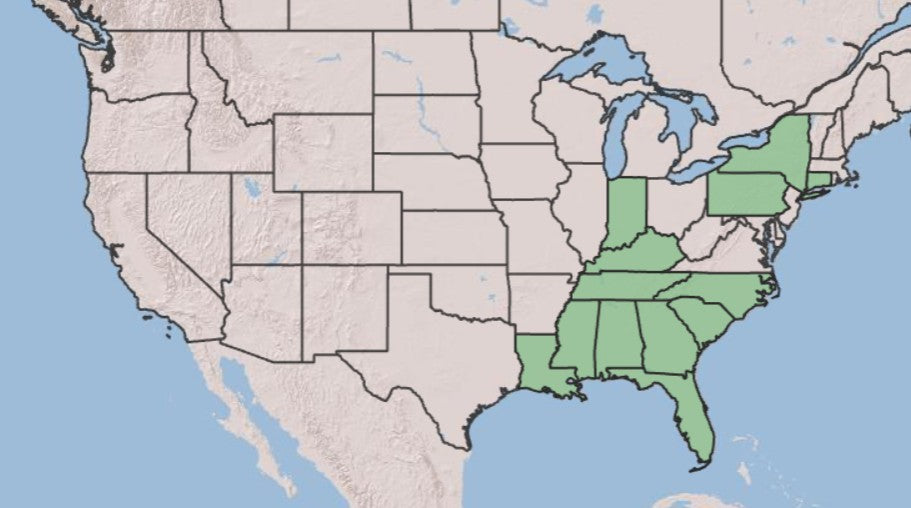 A map of the United States highlighting the Southern United States in light green, with state boundaries and outlines visible.