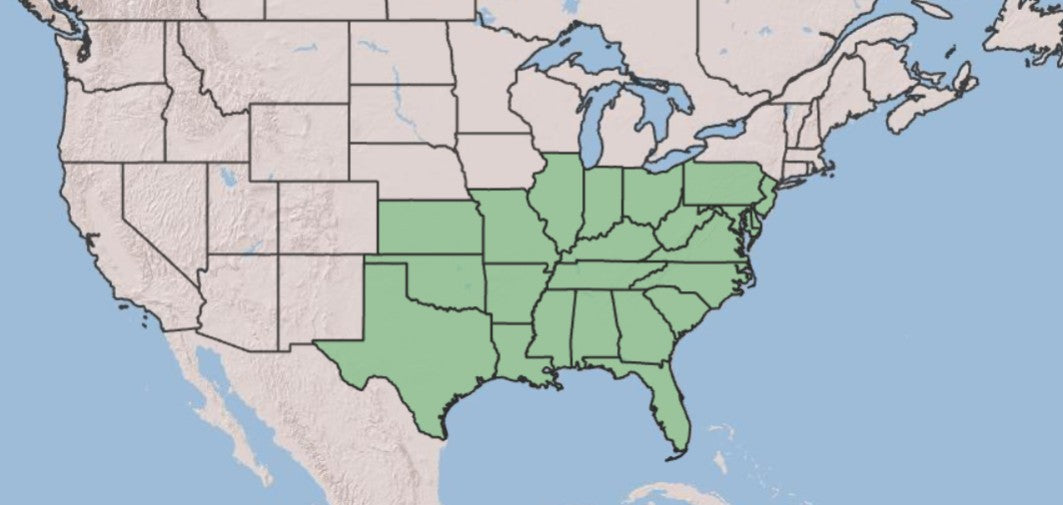A map of the United States showing the Southern and Mid-Atlantic regions highlighted in light green, with the rest of the country in pale beige and blue water.