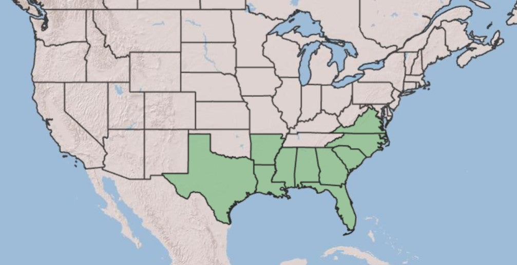 A map of the United States highlighting the Southern Plains and South Atlantic region in light green, with states like Texas, Oklahoma, Kansas, Nebraska, Arkansas, Louisiana, Mississippi, Alabama, Georgia, South Carolina, and Virginia shown.