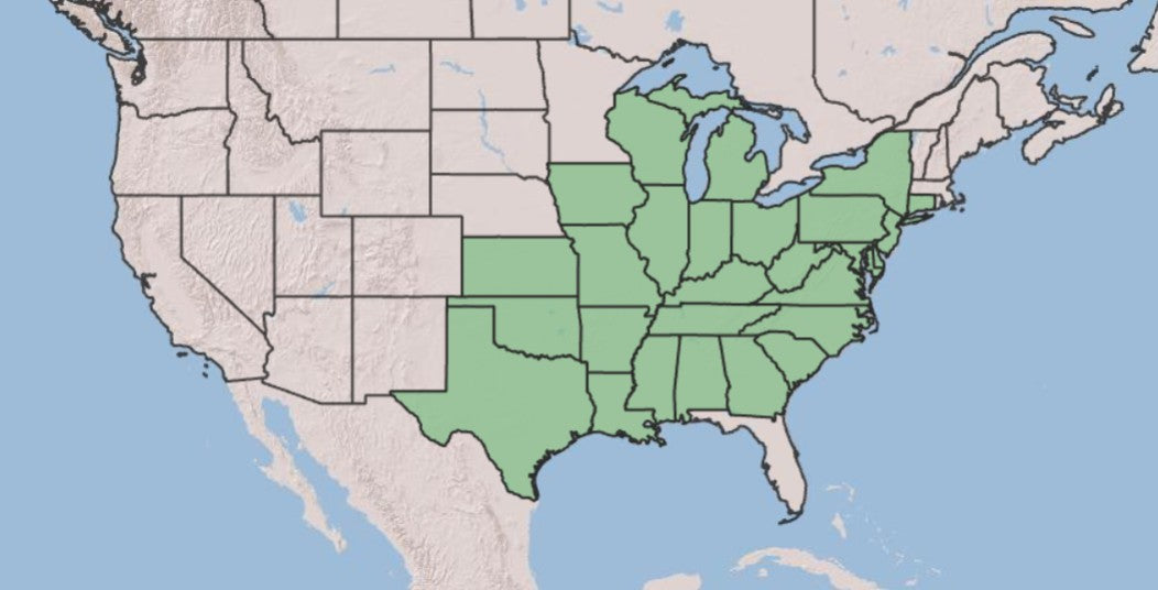 A map of the United States showing a highlighted region in the central and southern states in light green, with surrounding states in beige and blue water.
